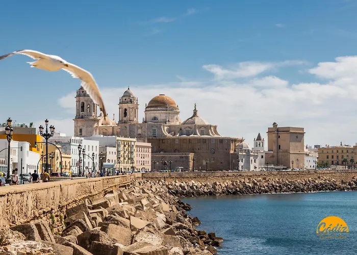 La Casa Bonita De La Victoria Livework By Time